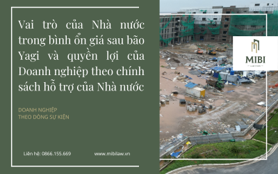 Vai trò của Nhà nước trong việc bình ổn giá sau bão Yagi và quyền lợi của Doanh nghiệp theo chính sách hỗ trợ của Nhà nước