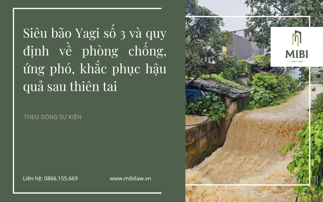 Siêu bão Yagi số 3 và quy định về phòng chống, ứng phó, khắc phục hậu quả