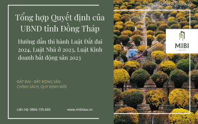 NEW – Tổng hợp Quyết định của UBND tỉnh Đồng Tháp hướng dẫn thi hành Luật Đất đai 2024, Luật Nhà ở 2023, Luật Kinh doanh bất động sản 2023