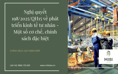 Nghị quyết 198/2025/QH15 về phát triển kinh tế tư nhân – Một số cơ chế, chính sách đặc biệt – Effective