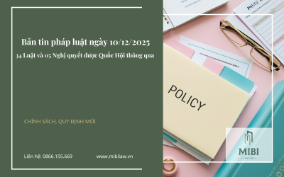 Bản tin pháp luật – Ngày 10 Tháng 12- NEW